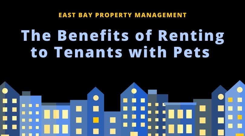 benefits renting to tenants with pets