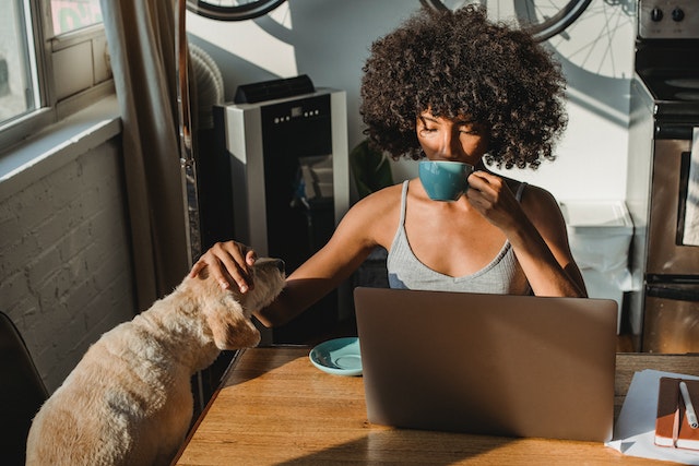 Person sitting at a table, looking at a computer, drinking from a mug, and petting a dog