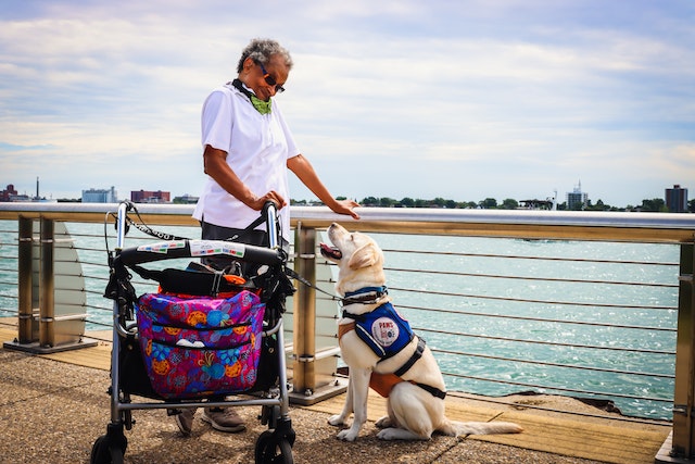 Eldery person standing on a pedestrian bridge with a walker and a service dog