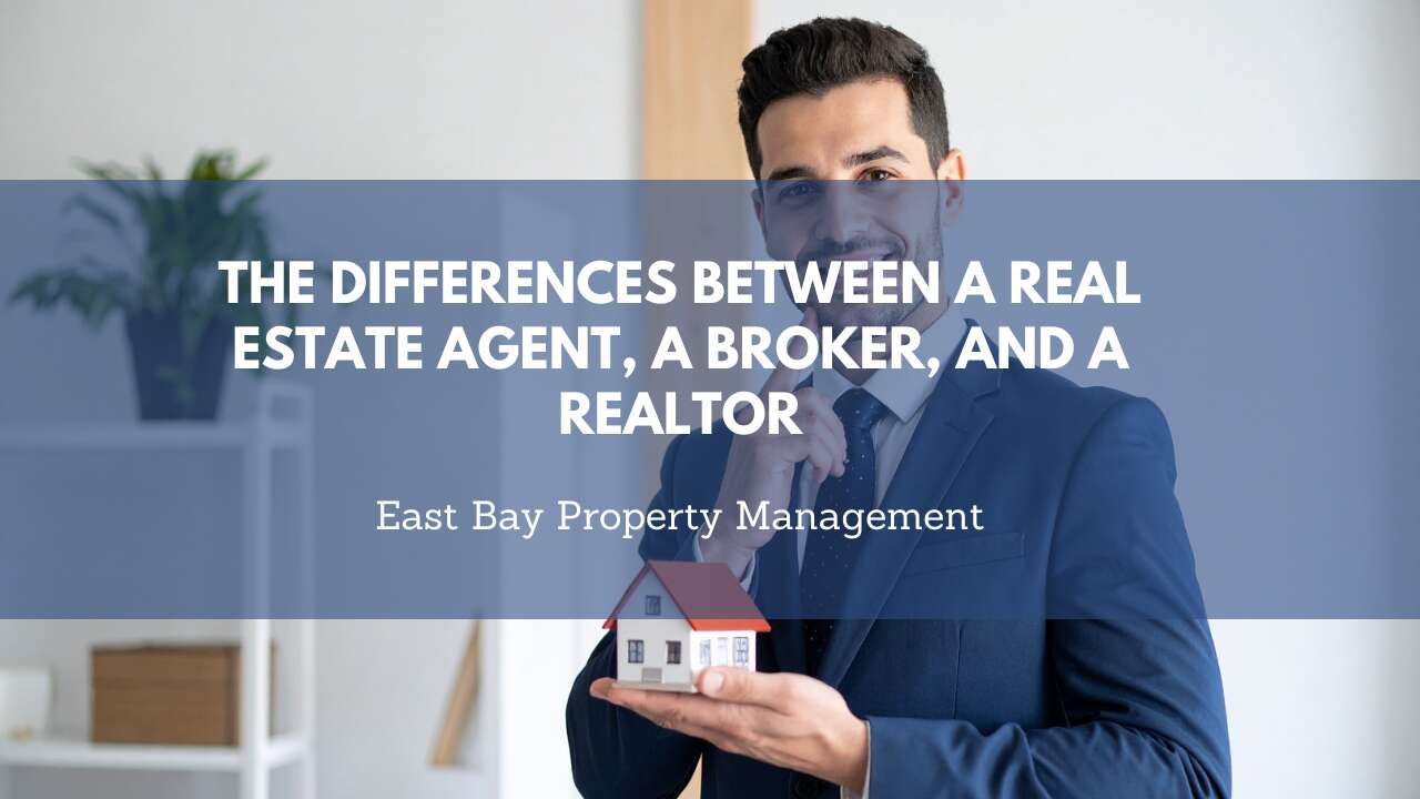 The Differences Between a Real Estate Agent, a Broker, and a Realtor
