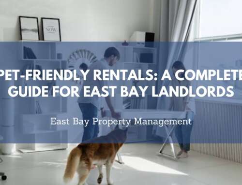 Pet-Friendly Rentals: A Complete Guide for East Bay Landlords